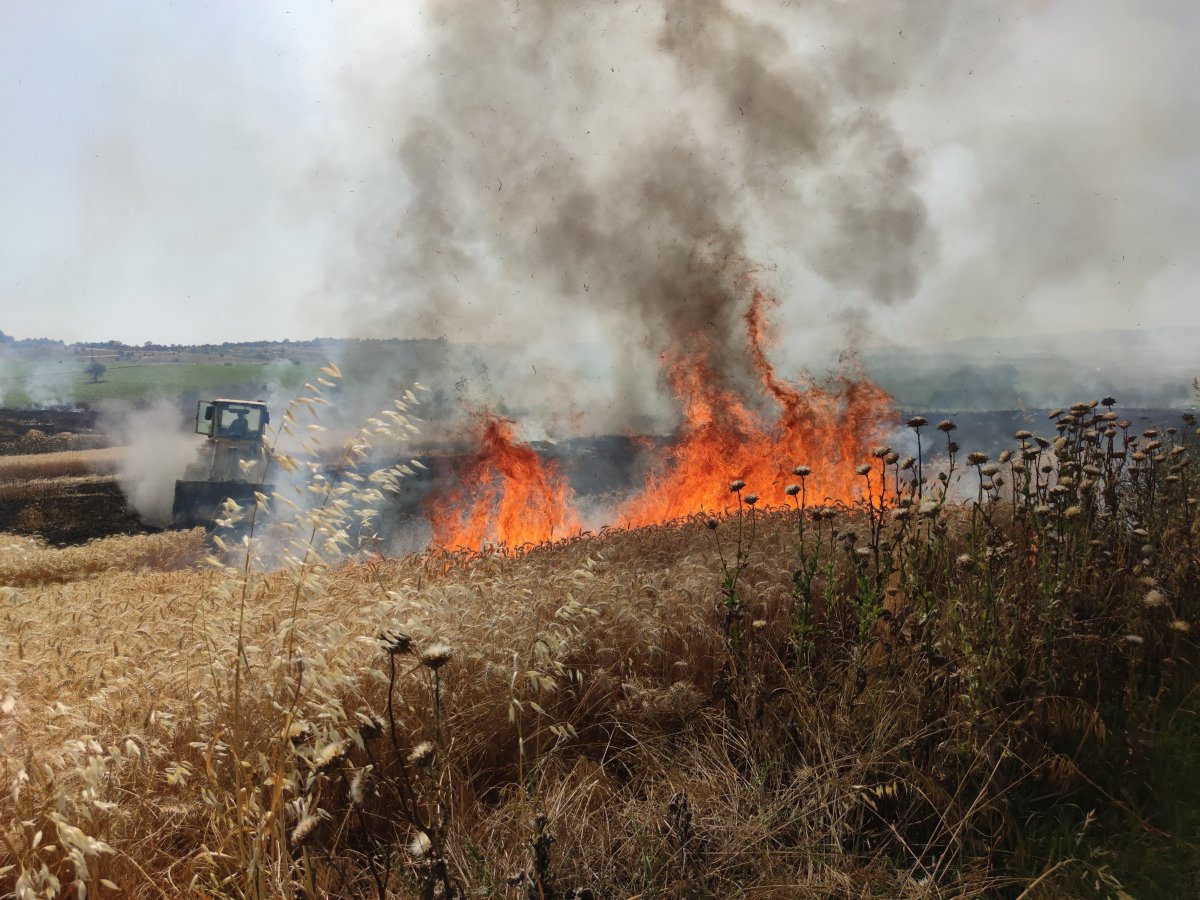 Dünya gıda kriziyle boğuşurken, Türkiye de buğday tarlaları yanıyor #2