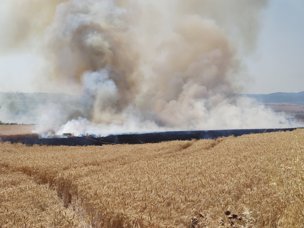 Dünya gıda kriziyle boğuşurken, Türkiye de buğday tarlaları yanıyor #4