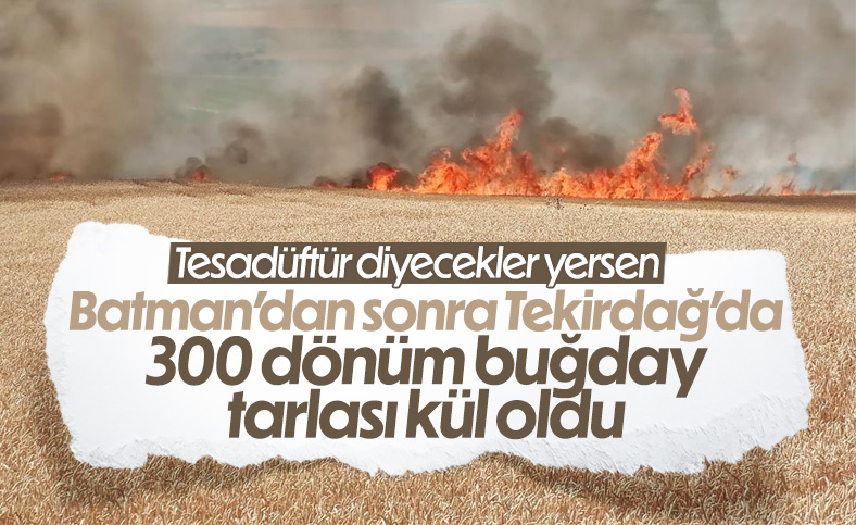 Dünya gıda kriziyle boğuşurken, Türkiye'de buğday tarlaları yanıyor