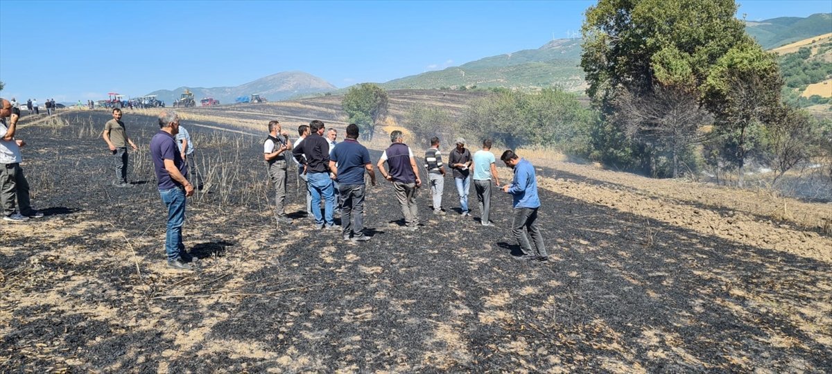 Küresel gıda krizi alarm verirken, Türkiye de buğday tarlaları yanıyor #2