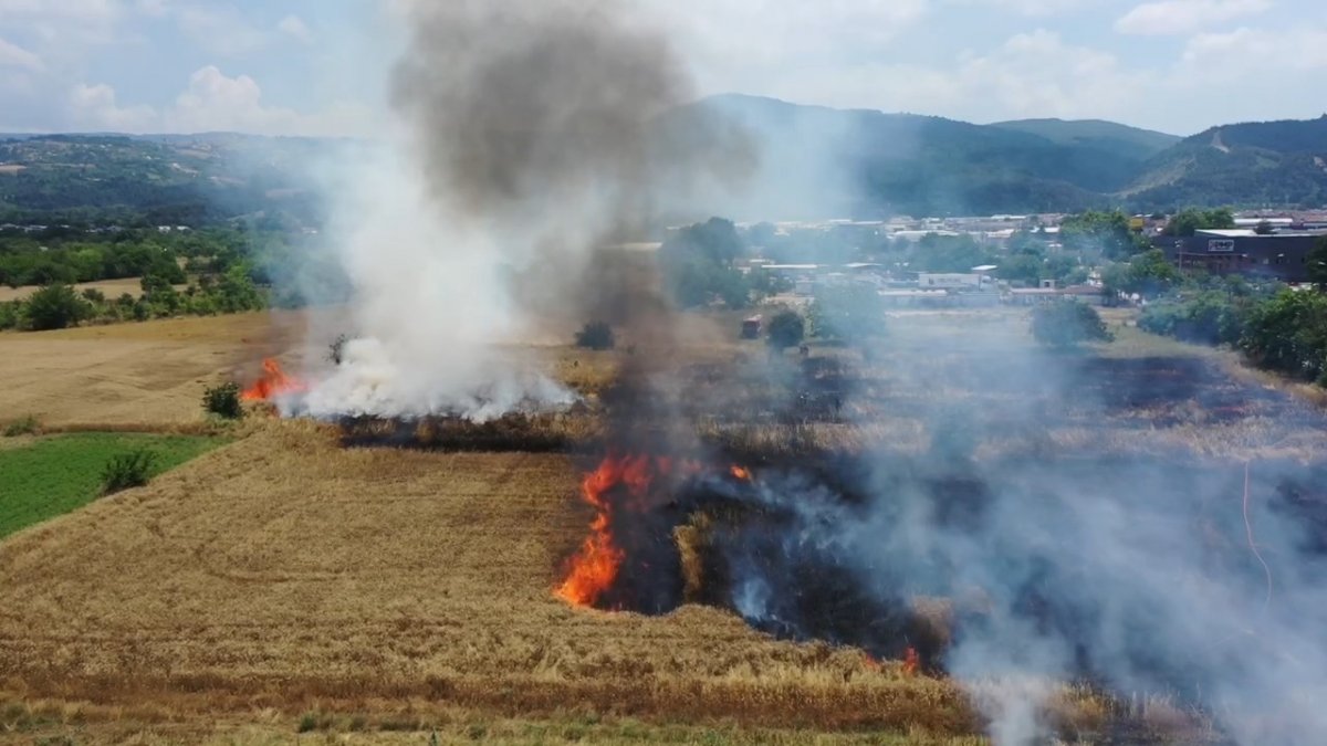 Küresel gıda krizi alarm verirken, Türkiye de buğday tarlaları yanıyor #3