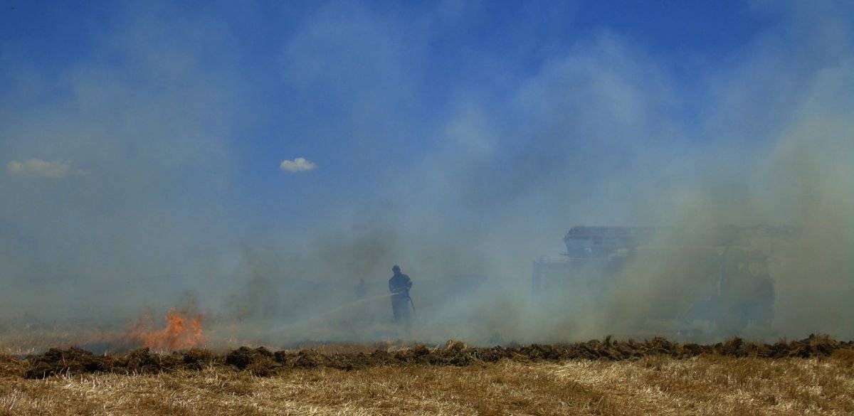 Küresel gıda krizi alarm verirken, Türkiye de buğday tarlaları yanıyor #4