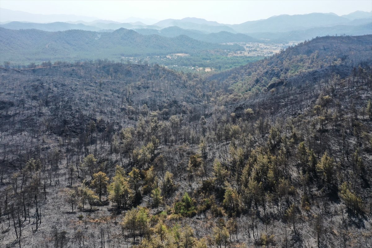 Marmaris yangınıyla küle dönen orman alanları #7