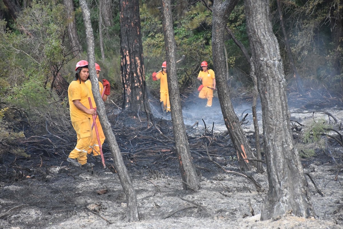 Meral Akşener den orman yangınlarına uçak yok provokasyonu #11