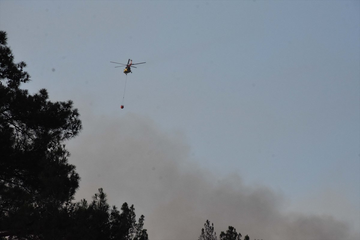 Meral Akşener den orman yangınlarına uçak yok provokasyonu #12