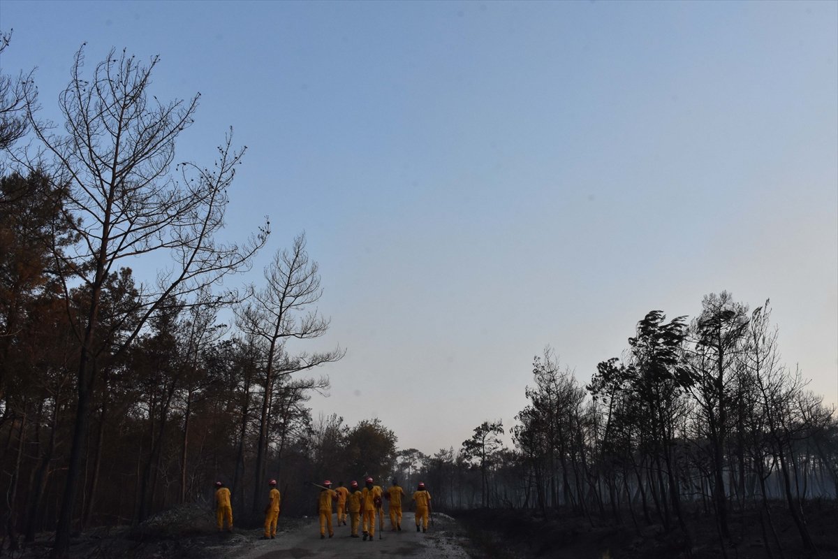 Meral Akşener den orman yangınlarına uçak yok provokasyonu #13