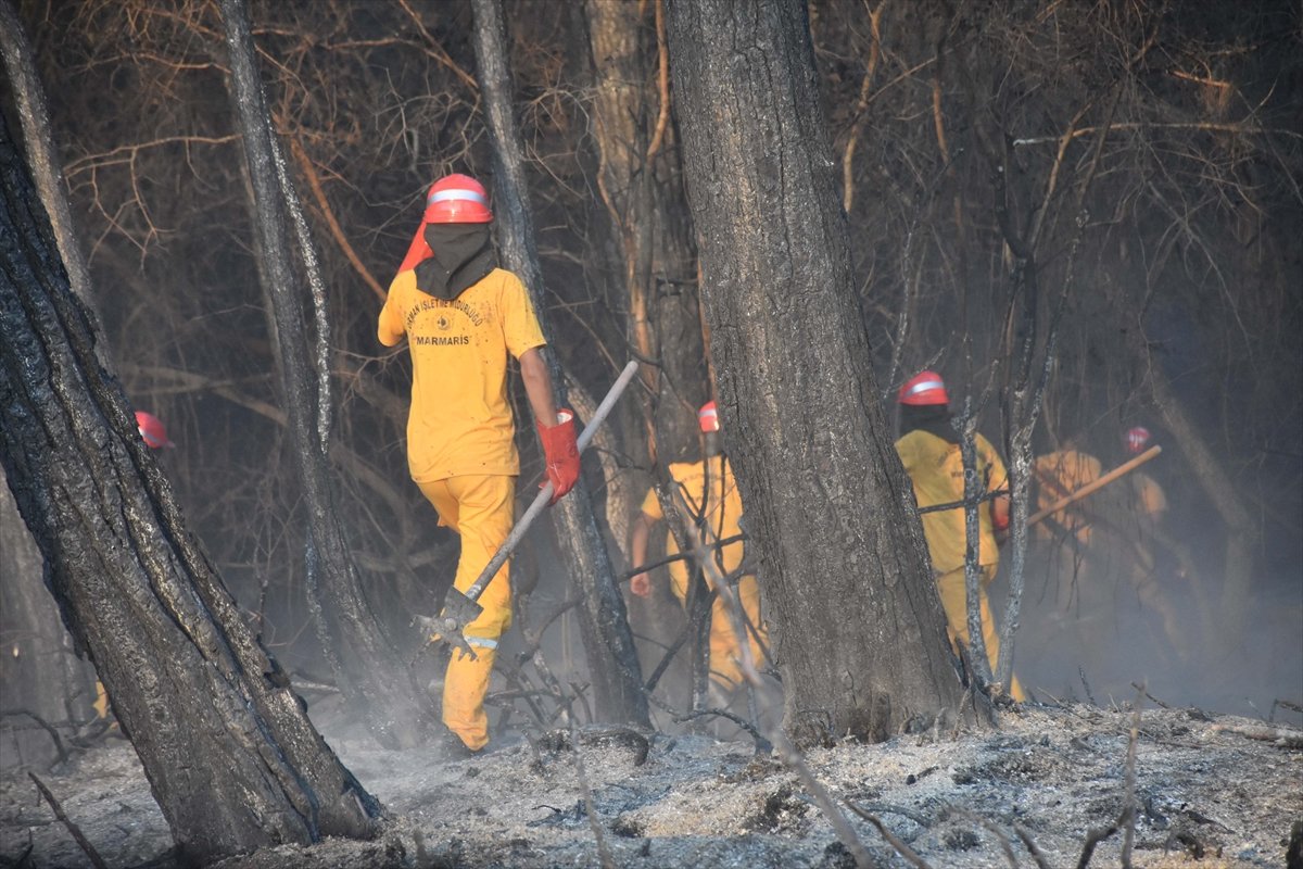 Meral Akşener den orman yangınlarına uçak yok provokasyonu #14
