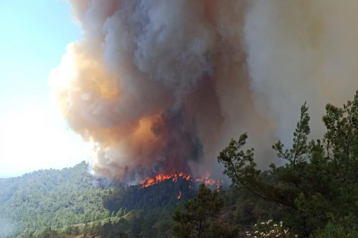 OGM’den Marmaris’te devam eden orman yangınına ilişkin son durum açıklaması