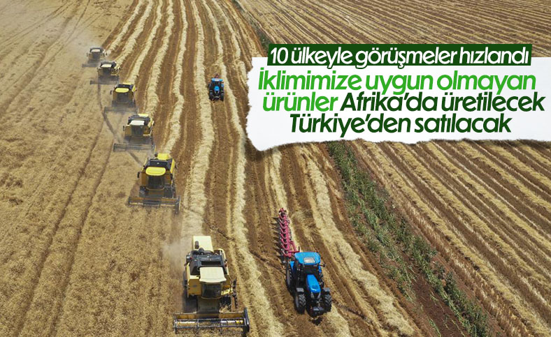 Türkiye, tarım için 10 ülkeden arazi kiralayacak