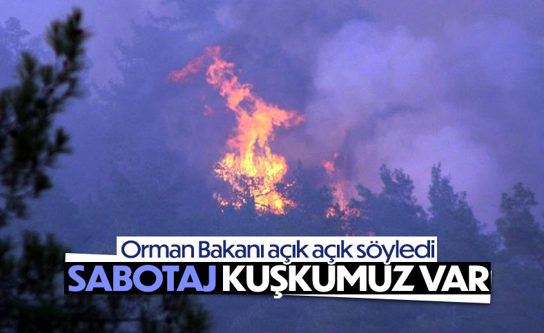 Vahit Kirişçi'den Marmaris yangınıyla ilgili sabotaj açıklaması