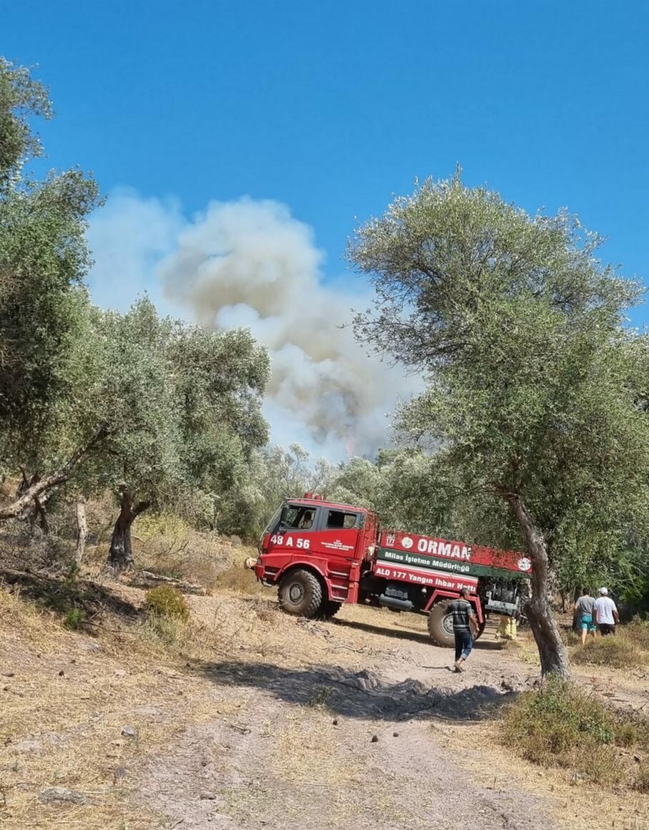 Bodrum’da orman yangını: 7 uçak müdahale etti #1