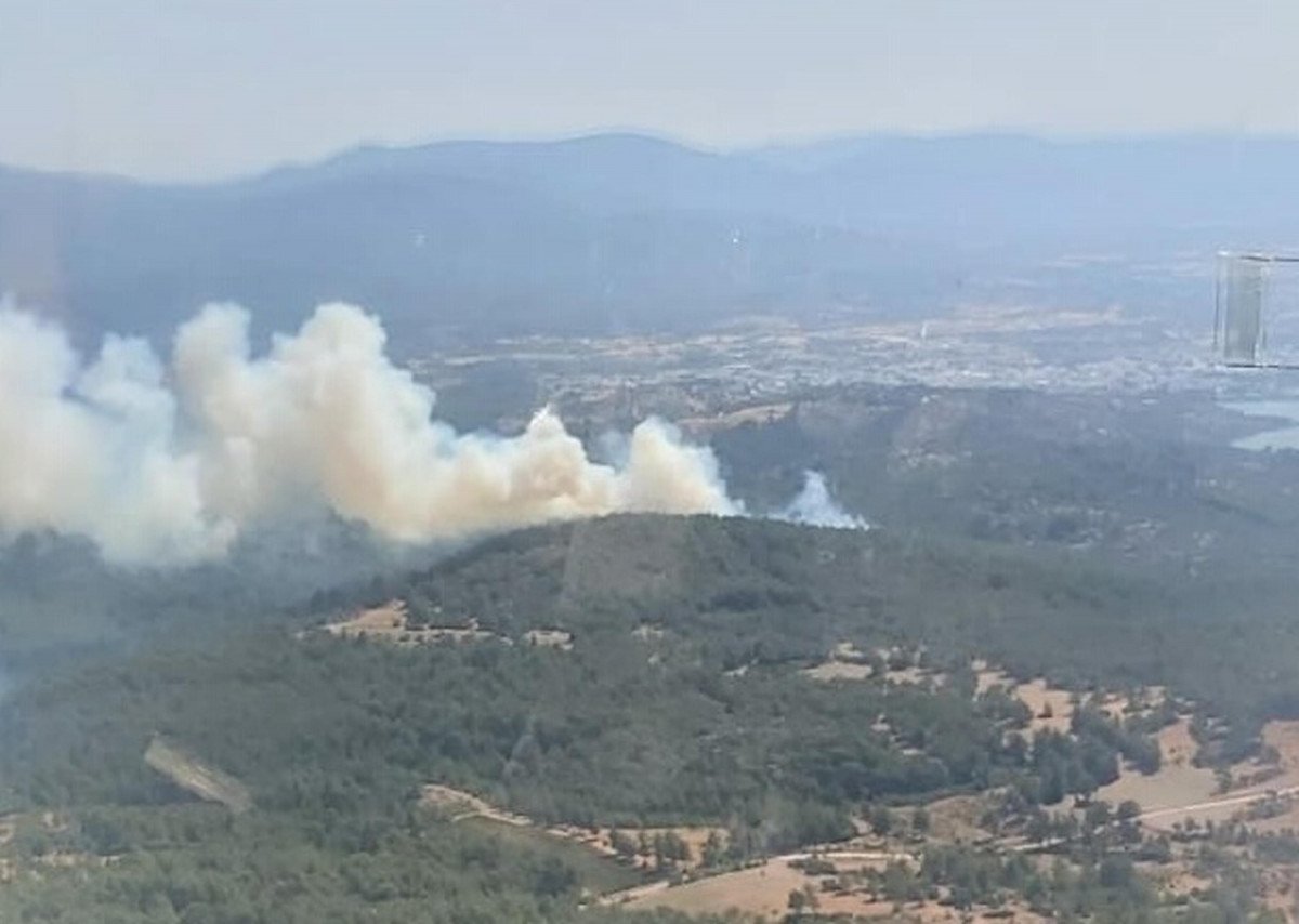 Bodrum’da orman yangını: 7 uçak müdahale etti #2
