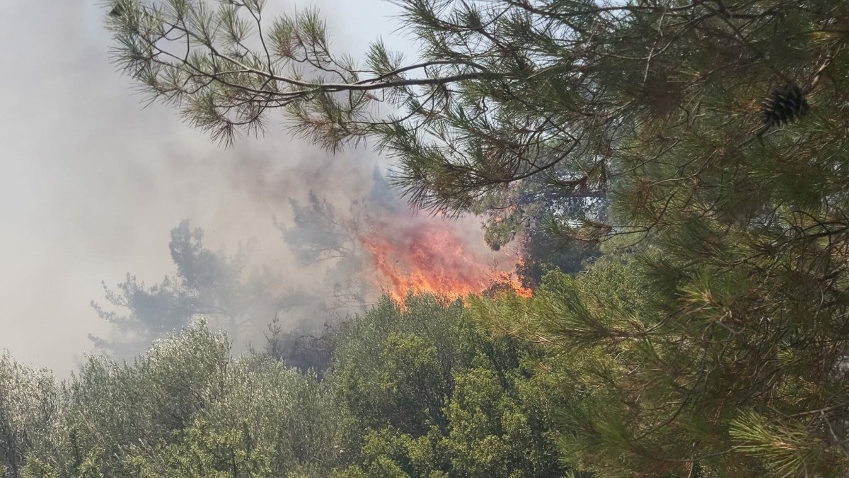 Datça da ormanlık alanda yangın çıktı #11