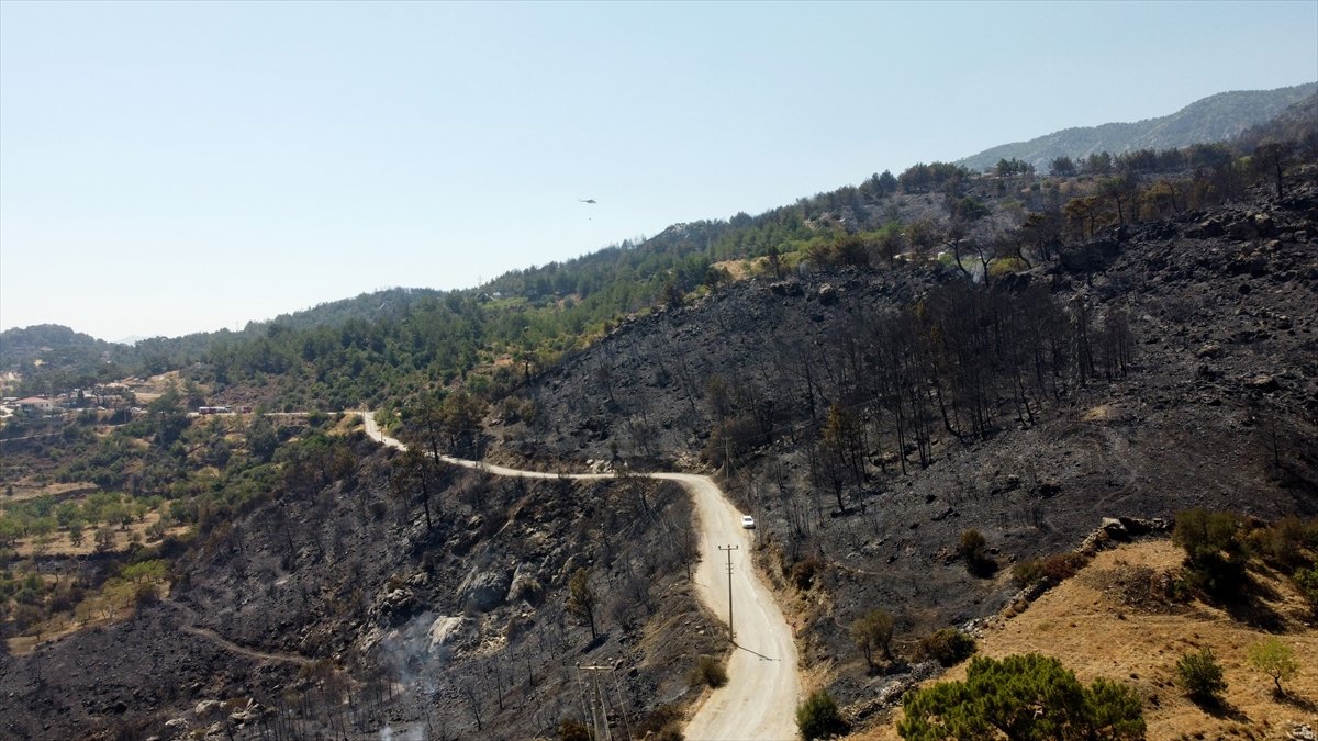 Datça’da yanan ormanlık alanın son hali #2