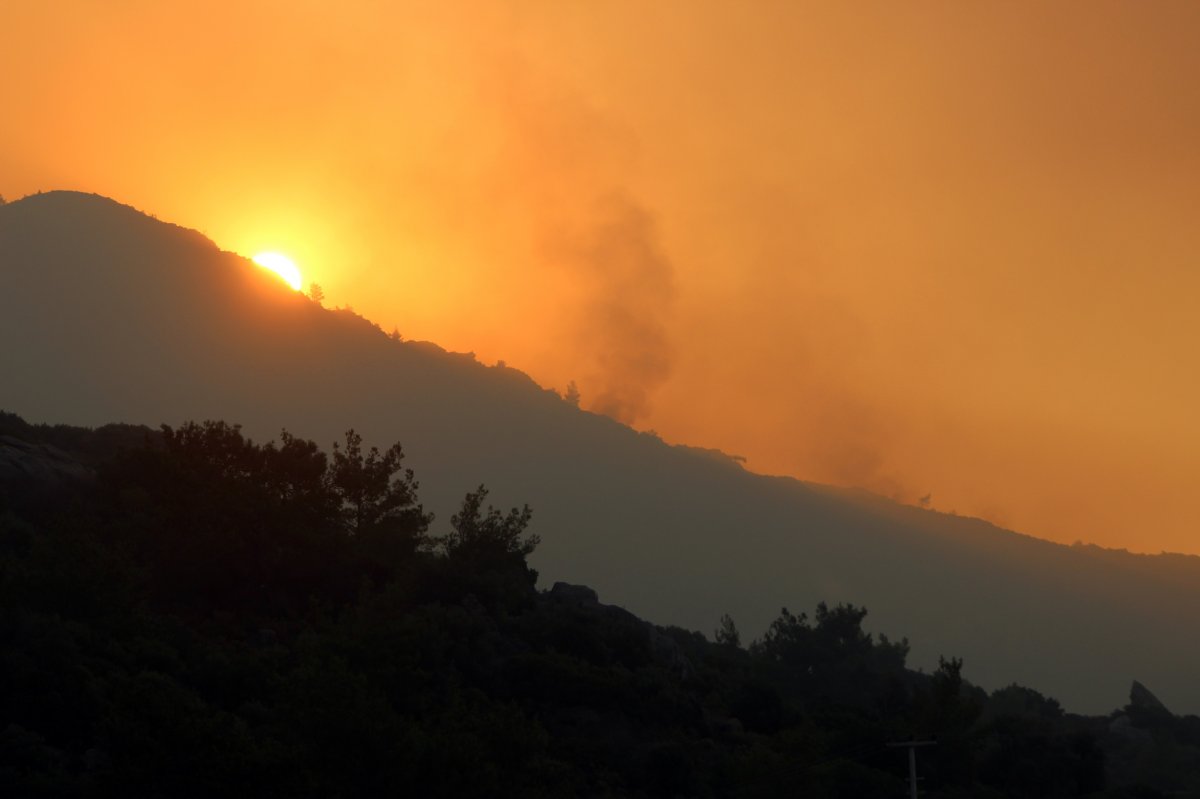 Datça’daki orman yangınında 2’nci gün #6
