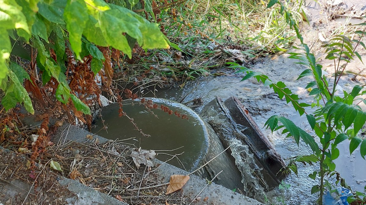 Florya da kanalizasyondaki kirli su denize aktı #3