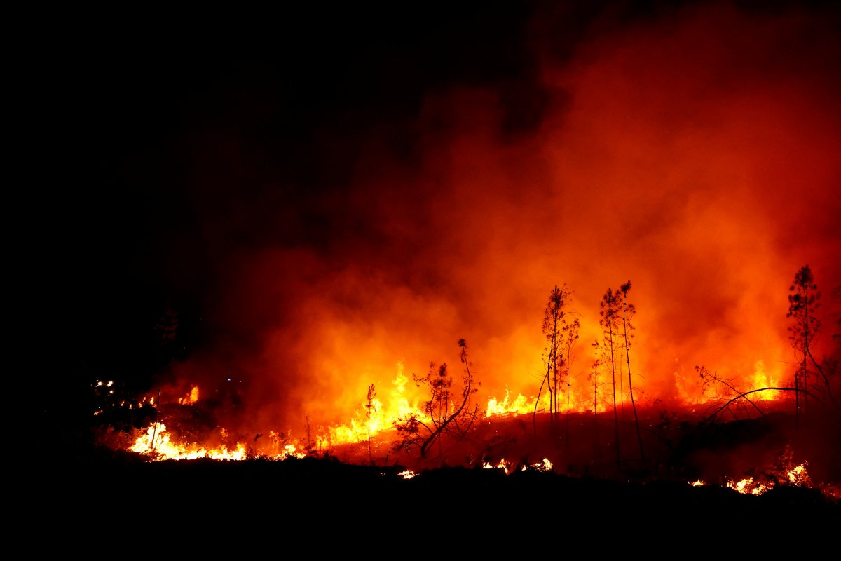 Fransa da orman yangınlarına müdahale, tartışmaya yol açtı #3