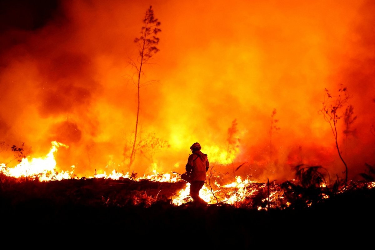 Fransa da orman yangınlarına müdahale, tartışmaya yol açtı #4
