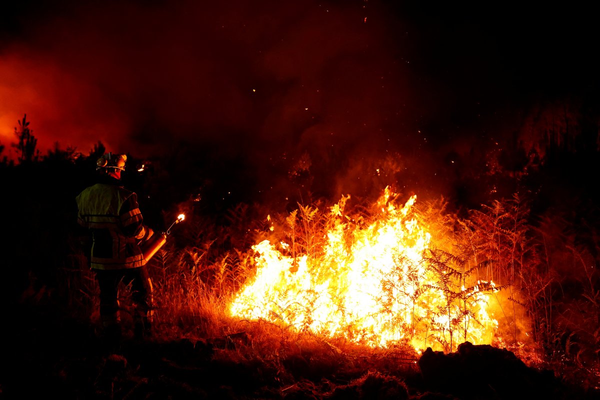 Fransa da orman yangınlarına müdahale, tartışmaya yol açtı #5
