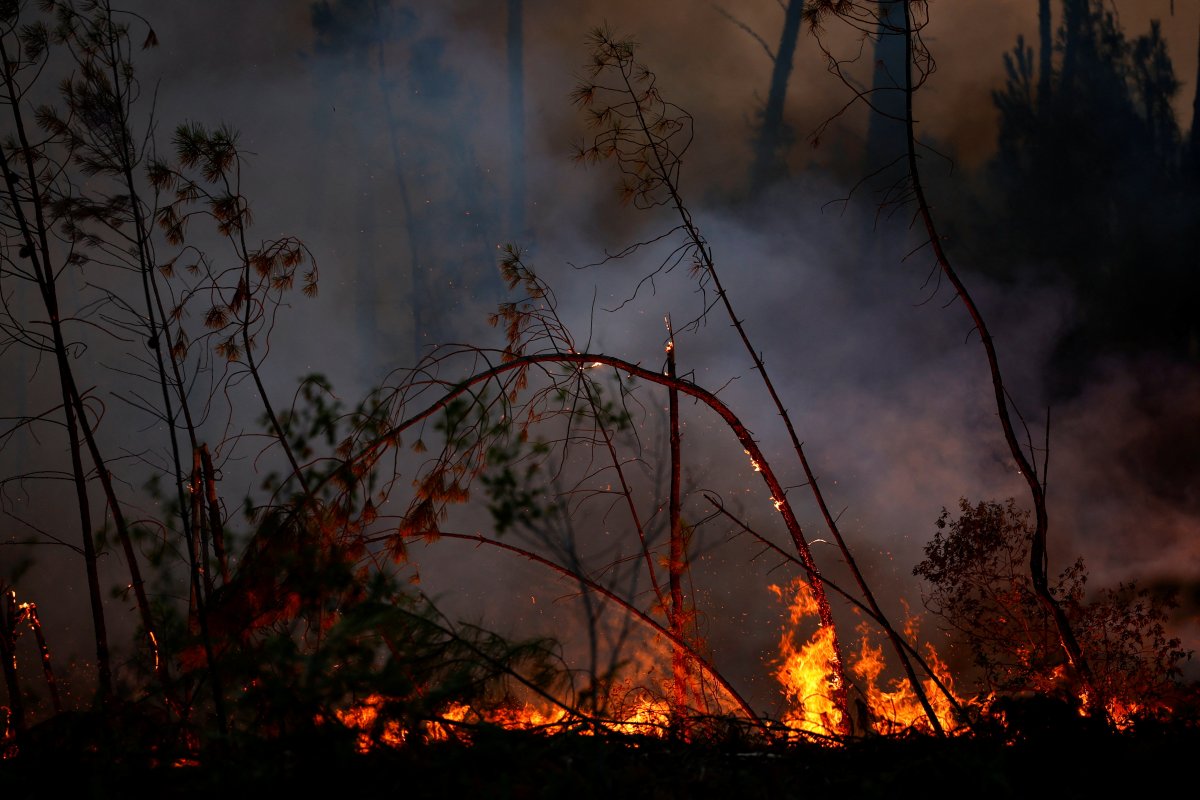 Fransa da orman yangınlarına müdahale, tartışmaya yol açtı #6