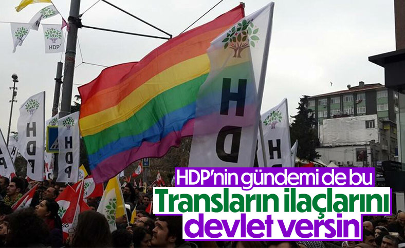 HDP'li vekil Züleyha Gülüm, transların hormon ilaçlarına dikkat çekti
