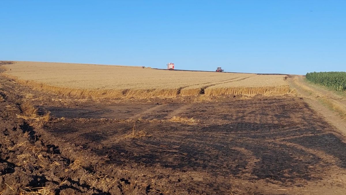 Tekirdağ’da bin dönüm buğday tarlası yandı #5