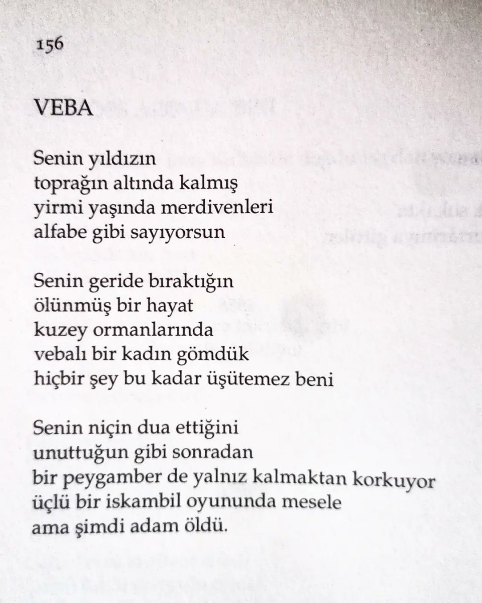 Türk edebiyatında ve şiirinde bir Ece Ayhan geçti #5