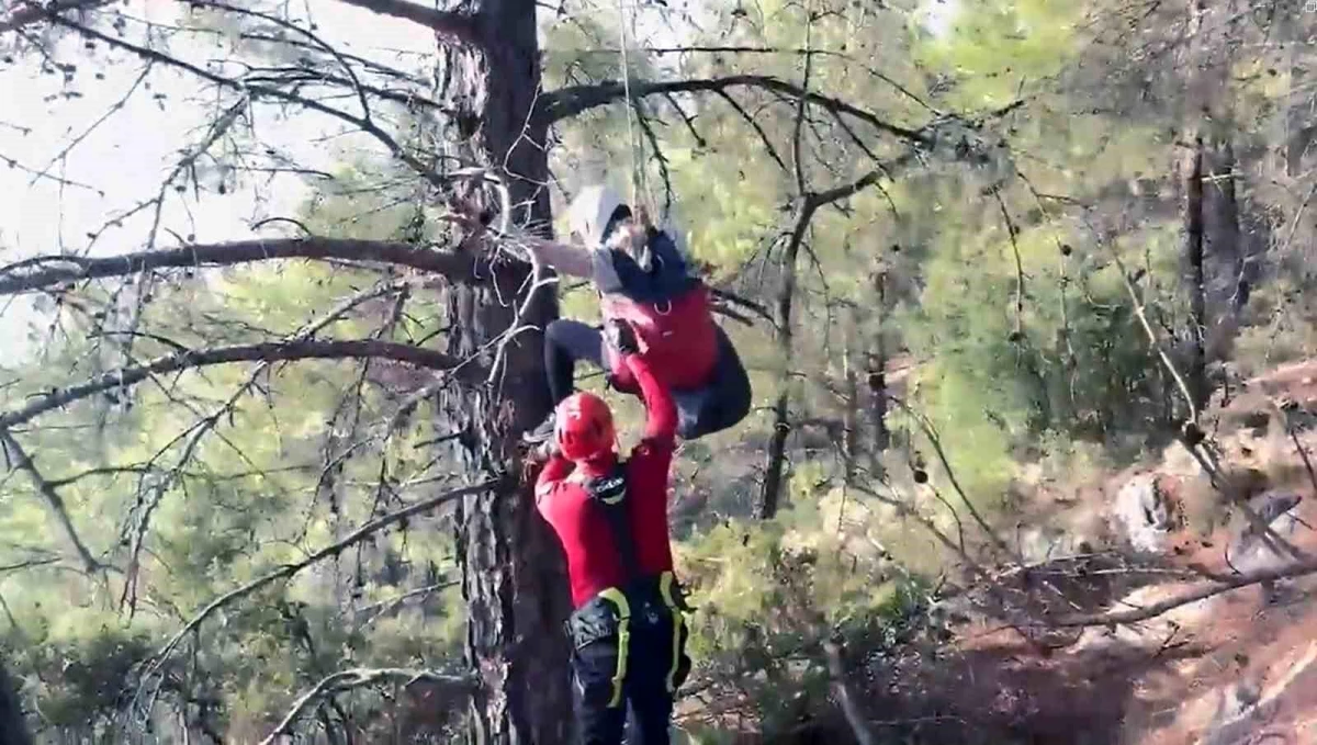 Fethiye’de Paraşütçü Ağaca Asılı Kaldı