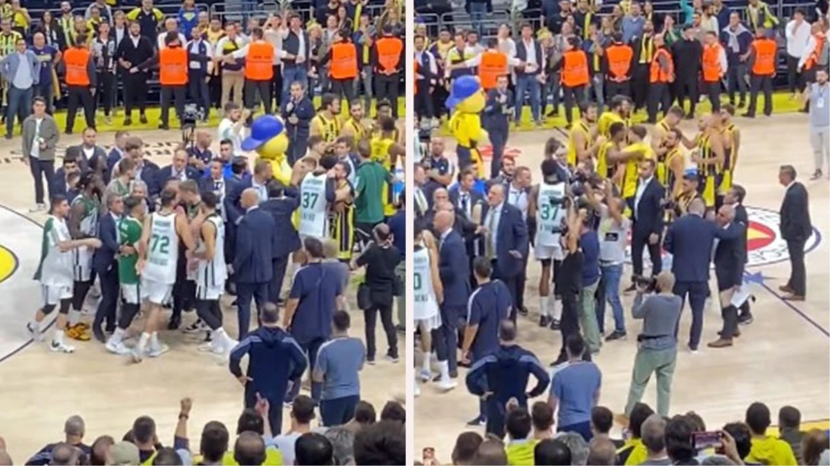 Görevliler zor ayırdı! Fenerbahçe-Panathinaikos maçında kavga çıktı