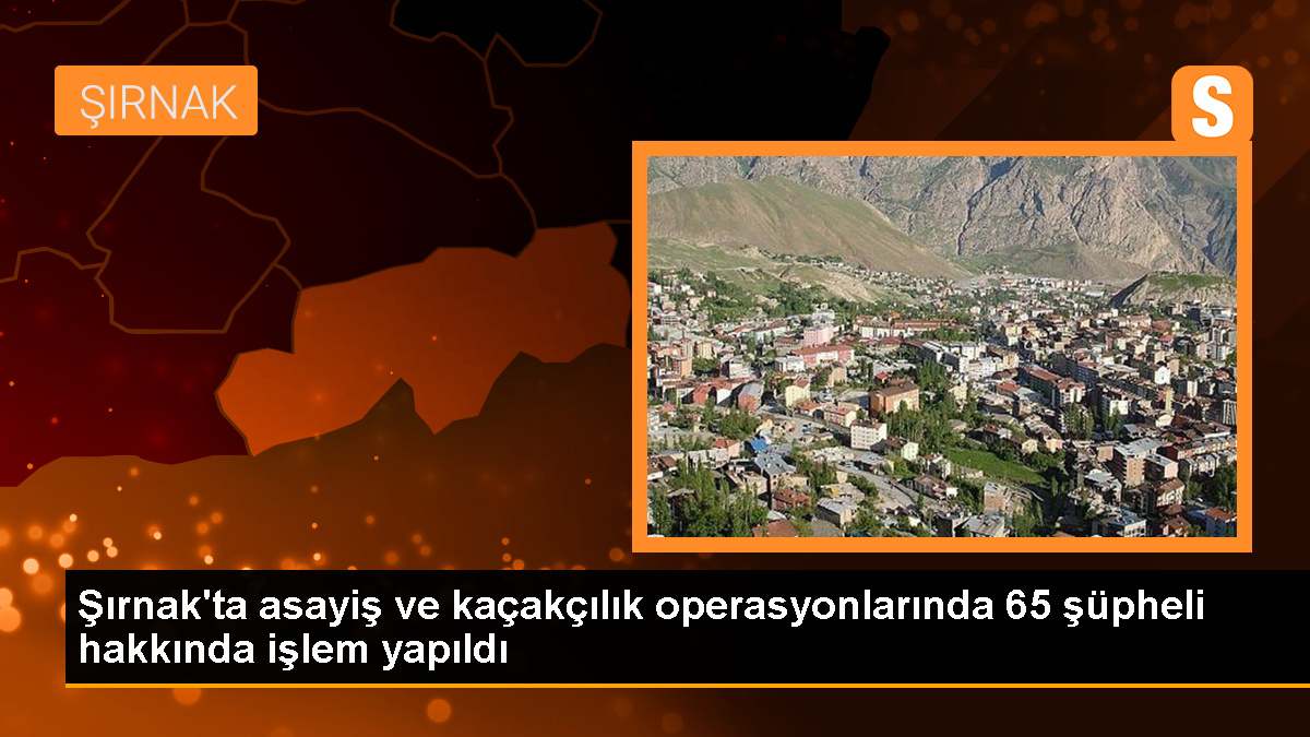 Şırnak'ta Asayiş ve Kaçakçılık Operasyonlarında 65 Şüpheli Yakalandı