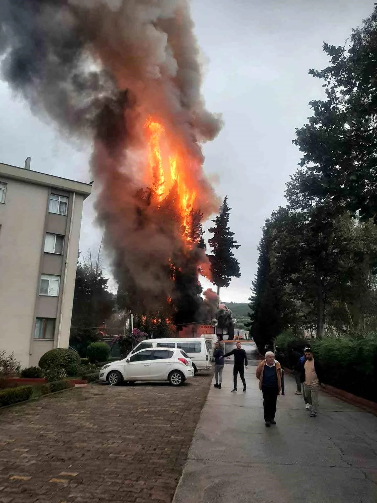 Yalovaspor Futbolcuları Otobüs Yangınından Kurtuldu