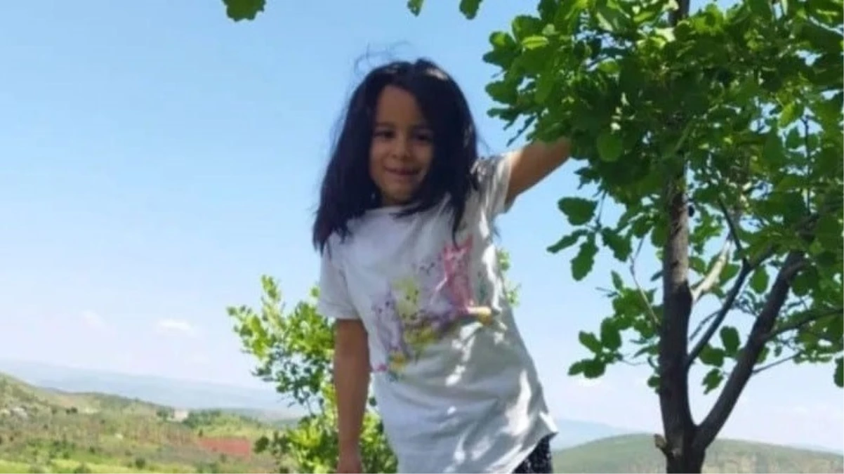 Yol kenarında hareketsiz halde bulunan 6 yaşındaki kız çocuğunun esrarengiz ölümü