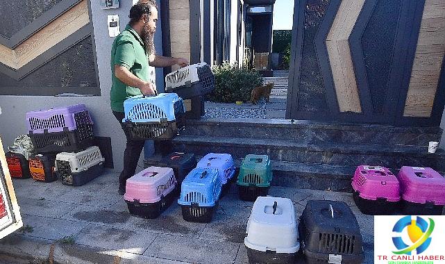 İzmir’de taşınabilir araçla kısırlaştırma hizmeti sürüyor